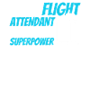 Flight Attendant Stewardess Cabin Crew