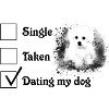 single,dating,dating my dog,maltese,dog