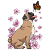 Japanese Cherry Blossom Pug Dog