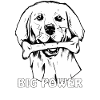 DOG BONE BIG POWER
