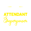 Flight Attendant Stewardess Cabin Crew