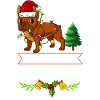 Chien Bulldog anglais Chiots Noël