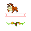 Chien Bulldog anglais Chiots Noël