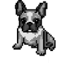 Nope fransk bulldog Pixel Art Sjov hund Frenchie