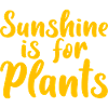 Sunshine Is For Plants