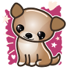 Cute puppy dog