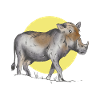 Great Warthog T-Shirt