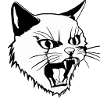 Chat en colère