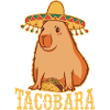 Tacobara Capybara Gift