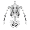 Creepy Halloween Costume - Skeleton