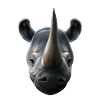 Cute Rhinoceros Rhino
