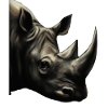 Cute Rhinoceros Rhino
