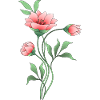 Fleur