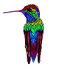 kohlibrie on a branch