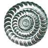 Fibonacci