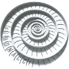fibonacci résumé