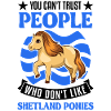 Shetland Pony Gift Shetty