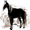 Pferd