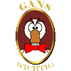 Gans wichtig mit Fliege