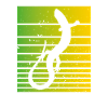 Lézard blanc