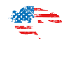 Lizard Usa America