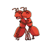 Fire Ant Lover