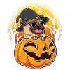Pug and Pumpkin Halloween Dog