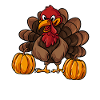 Turkey Thanksgiving