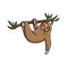Hanging sloth