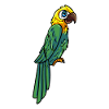 Parrot