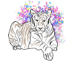 LYING TIGER