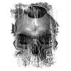 rock'n'roll skull
