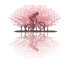 Japanese Cherry Blossom Downhill