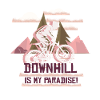 VTT de descente