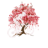 Japanese Cherry Blossom Downhill