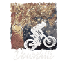 VTT de descente
