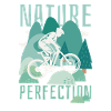 VTT de descente