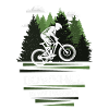 Downhill Passion