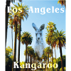 Känguru