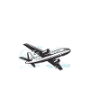 Professional Pilot Flight License Pilot
