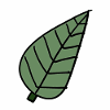 Feuilles Vertes Plantes naturelles Feuilles