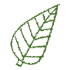 Leaves Tree Symbol Leaf Green