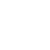 Vegvisir Viking Compass Boussole