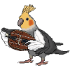 Cockatiel playing Hurdy Gurdy