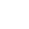 Lifestyle Basketball
