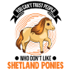Shetland Pony Gift Shetty