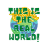 The real world