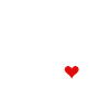 Havanese Mama