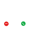 Funny Capybara Humorous Capybaras