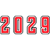 2029 year birthday